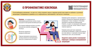 Профилактика коклюша и клещевого вирусного энцефалита Профилактика коклюша и клещевого вирусного энцефалита.