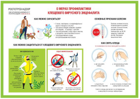 Профилактика клещевого энцефалита Профилактика клещевого энцефалита.