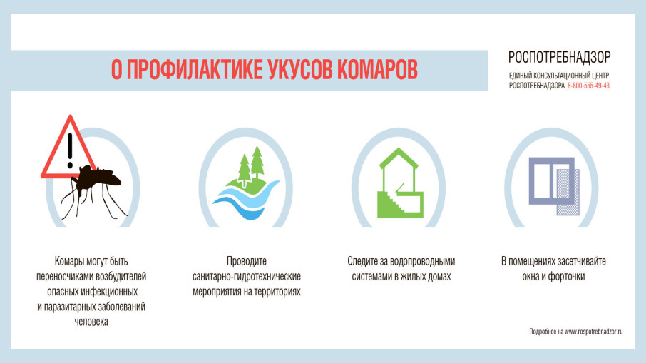 профилактика укусов комаров профилактика укусов комаров.