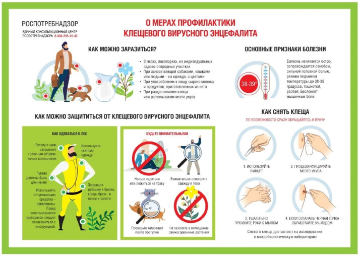 Профилактика клещевого энцефалита Профилактика клещевого энцефалита.